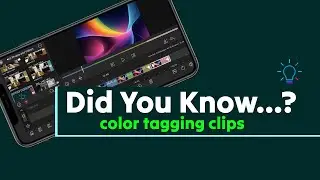Color Tagging your Clips in LumaFusion