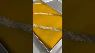 pure#silk#organza#handloomweaving#handmade#zariwork#viralvideo#fashion#trending#newcollection