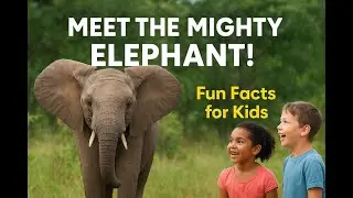 Elephant | Mighty Elephant |  About Elephants | Elephants &ndash; The Smartest Giants on Land |