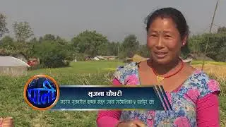 PHG activities at Dang covered by NEFEJ