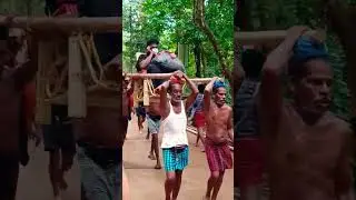 sabarimala lo dolly  sarvice