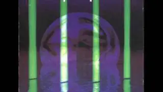 Out Of Phase - Alien Zoo