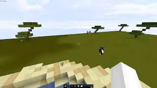 Minecraft | MiniHCF | VeltPvP