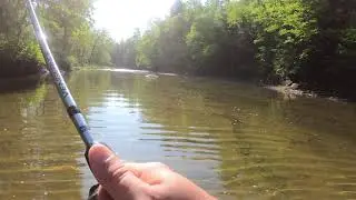 Smallmouth bass fishing in western NY