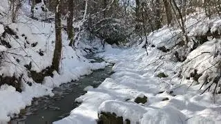 Raining on Winter season | Nature sound | Relaxation sound | Calm sound