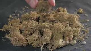 How Hemp Paper and Textiles Are Made