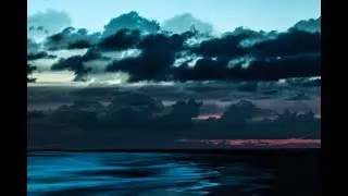 Life on Texel 2017 [in 4K]