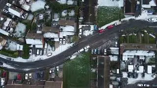 Dusk Flight