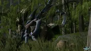 A Ceanataur Shell Inspection...
