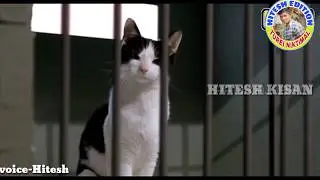 Funny Video //HITESH EDITION....... EDUCATION