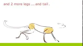 CHEETAH_Run_cycle : How to use flash to create 2D animation !