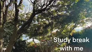 How I take study breaks