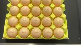egg coding machine #packingmachine #packaging #machine #machinerychannel #manufacturing #factory #