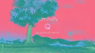 camoufly - Q (quantinium remix)