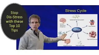 Top 10 Steps to Reduce Stress, Sleep Better and Lose Weight!