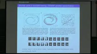 Prof. Alfred Hero | Continuum limits for minimal paths