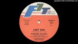 BUMBLEBEE UNLIMITED-LADY BUG 1979