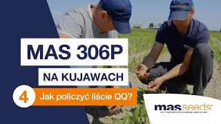 Jak poprawnie policzyć liście w kukurydzy❓ 🌽MAS 306P na Kujawach