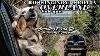 Overlanding Across Nova Scotia 4: Truck Camping Offroading in 4Runner SUV, Van Life with dog & puppy