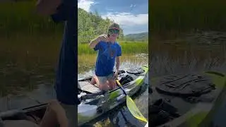 Quality release only #bassfishing #fishing #dink #fish
