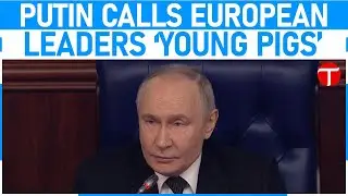 Putin calls European politicians 'young pigs' who want to bring Russia down