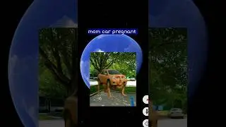 I found mom car pregnant in real life search google map or google earth #mom #earth #maps