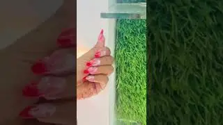 Ombre Nail Art 💅#viralytshorts #nails #nailart @heygreatnails @Vettsystore #shortvideo
