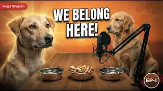 We Belong Here 🐾 | The Truth About Indie Dogs in India | Pawcast by wagNbush | Episode - 1