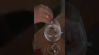 Chopeira Smart e Bartender Dual Zone Cheffer - V&iacute;deo 2