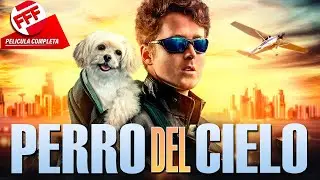 EL PERRO DEL CIELO | Pel&iacute;cula Completa Muy DIVERTIDA de ESP&Iacute;AS PARA VER en FAMILIA en Espa&ntilde;ol