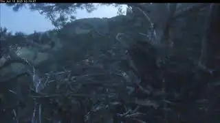 10.07.2025 Алтынычи. Встали детки, причесались и улеглись.