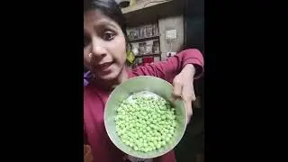 কচুরি তো অনেক খেয়েছেন একবার মটরশুটি কচুরি খেয়ে দেখুন অবাক হবেন || New Recipe