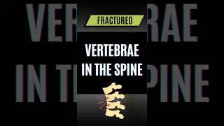 How does PEMF help Vertebrae in the Spine