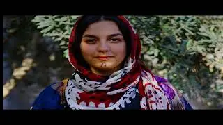 Fadilê kufragî-mûsa xayin