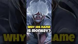 Why Luffy's Family Name Is Monkey #luffygear5 #onepiece #animecharacter