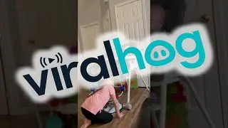 Big Sister Plays Peek-A-Boo With Brother || ViralHog
