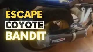 Bandit 1200 com escape coyote
