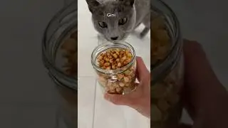 Лакомство для кошек из 2 ингредиентов? #кот