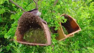 All Day Pest Control | Emergency Pest Control Services