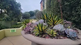 HOA Landscape Courtyard Pros and Cons