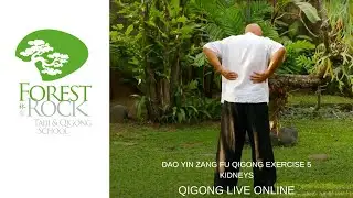 Dao Yin Zang Fu Qigong Ex 5 The Kidneys