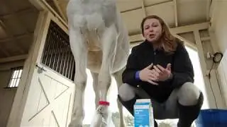 Hoof Wraps Soaker Bag