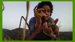 Inbar Heyman - Asalato solo in nature (Kashkash/Patica/Kashaka/Aslatua/Banakula)
