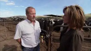Washington Veterinarian Dairy - America's Heartland