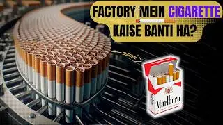 Factory Mein Cigarette Kaise Banti Hai? | How Millions of Cigarettes Are Made!