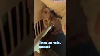 Да ты чё?❄️