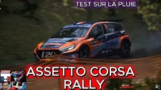 TEAM [-RRP-]  RITY 74  ASSETTO CORSA RALLYE  ##assettocorsarally #hundai i20N R2 #automobile #capcut