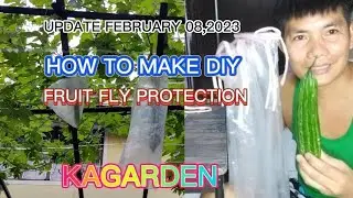 HOW TO MAKE DIY FRUIT FLY PROTECTION / PAANO GUMAWA NG FRUIT BAG @kagarden8465