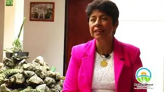 fundación horizonte Mayor