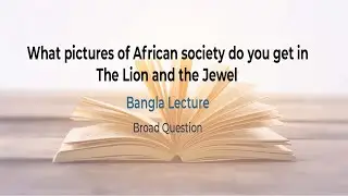 What pictures of African society do you get in The Lion and the Jewel